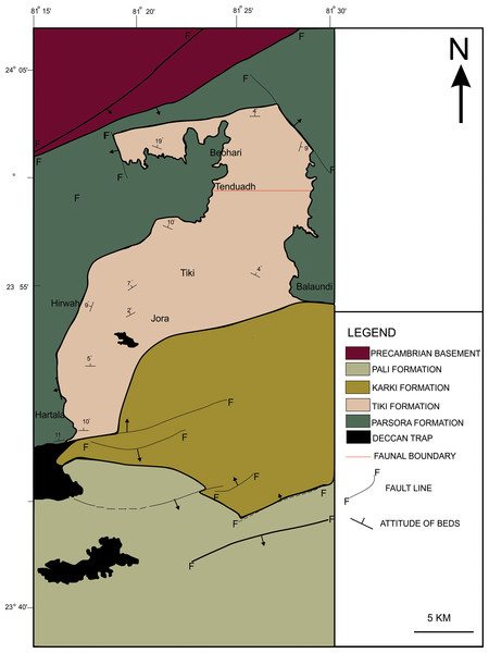 Geological map showing the Tiki Formation, Rewa Basin, India.