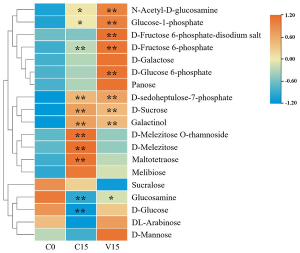 Heat map of sugar metabolites under different treatments.