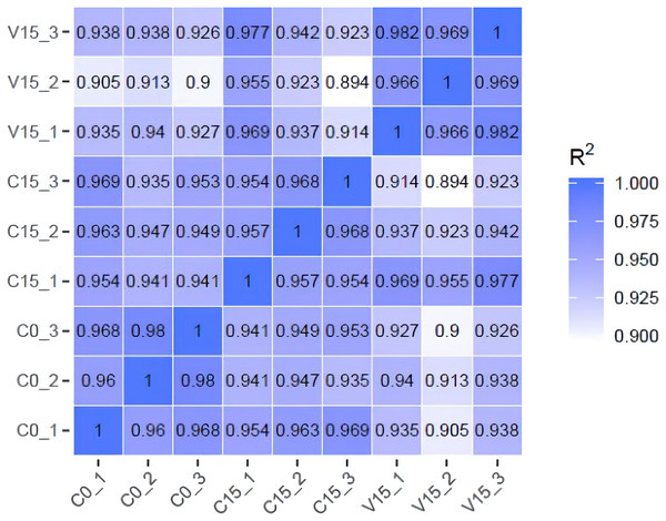 The heatmap of correlation coefficients between samples.