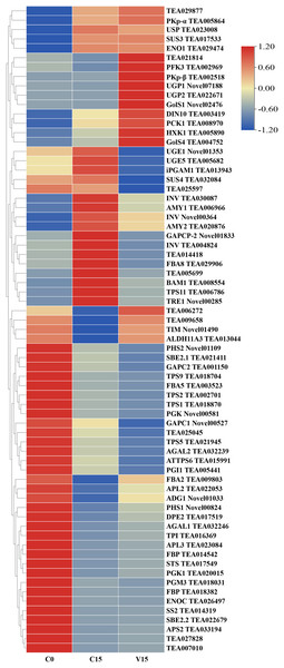 Heat map of sugar metabolites related DEGs under different treatments.