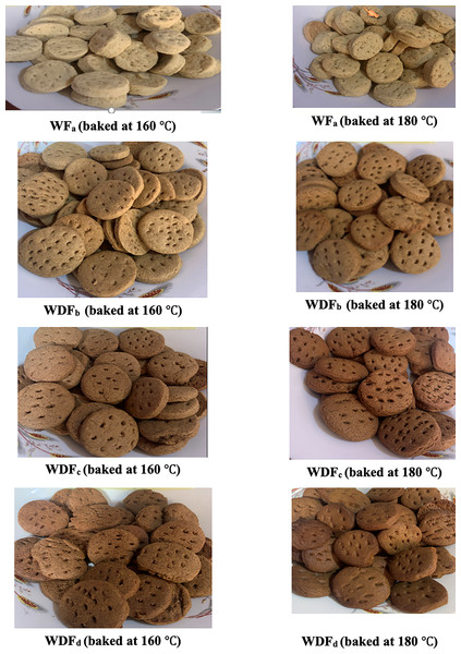 The pictorial outcomes of different cookies samples obtained from blend formulation.
