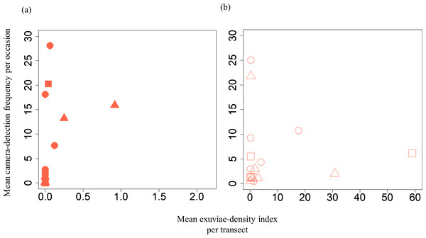 Relationships between the mean exuviae-density index per transect obtained from the line-transect survey in early summer and mean camera-detection frequency per occasion in the same year.