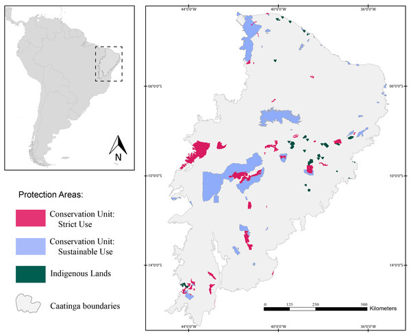 Map of the study area showing the location of the Caatinga domain.