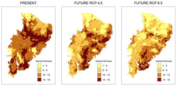 Richness maps of endemic and/or endangered bird taxa in the Caatinga domain.