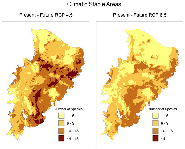 Richness map of stable areas with endemic and/or endangered bird taxa in the Caatinga domain by stacking stable areas of all species.