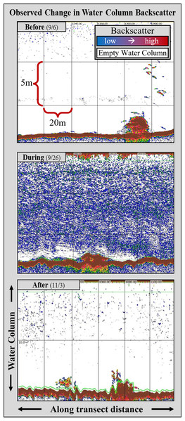 Example echograms from the three distinct sampling periods.