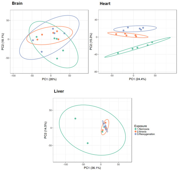 PCA plots of brain, heart and liver proteomes during normoxia, anoxia and reoxygenation.
