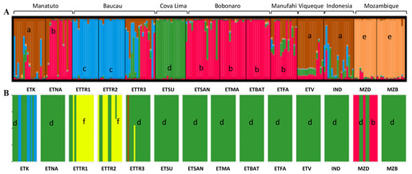 Clustering based on SSR data of the optimal K-means using STRUCTURE (A) for populations in Mozambique, East Timor, and Indonesia; and DAPC analyses of K = 5 (B).