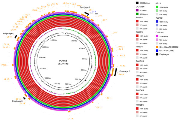 Circular map of Corynebacterium silvaticum PO100/5 genome generated using BRIG v0.95.