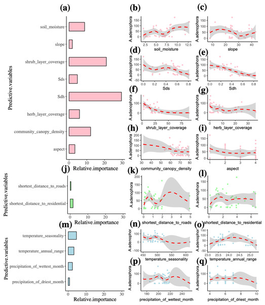 Multiple factors of the invasive alien plant A. adenophora in forest communities.