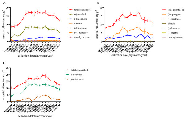 Dynamic changes of essential oil components during different growth stages of different chemotype.