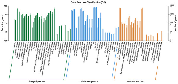 DEGs of GO annotation classification.