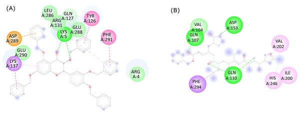 2D ligand interactions between (A) quercetin derivative 382 and (B) the native ligand with the active site residues of SARS-CoV-2 Mpro.