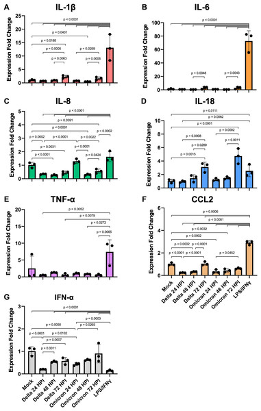 SARS-CoV-2 infection elicits moderate gene expression of proinflammatory cytokines from iMΦ.