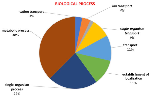 GO of biological process determined through Blast2GO tool using the Arabidopsis, and wheat HMA proteins as a query.