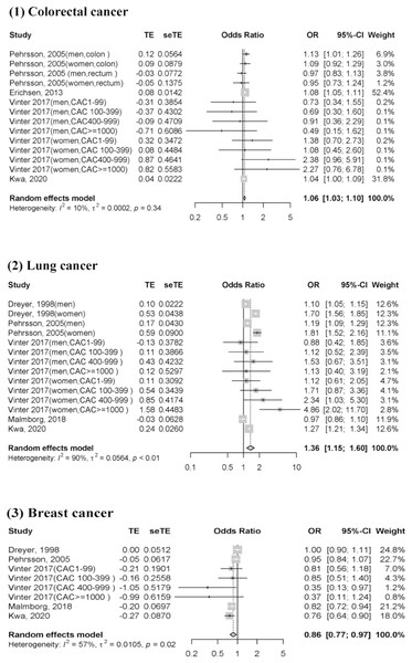 Forest plot of incident cancer risk, comparing participants with CAD as those without CAD by individual cancer type.