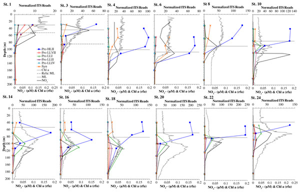Cyanobacterial ecotypes for North Atlantic Geotraces transect GA03.