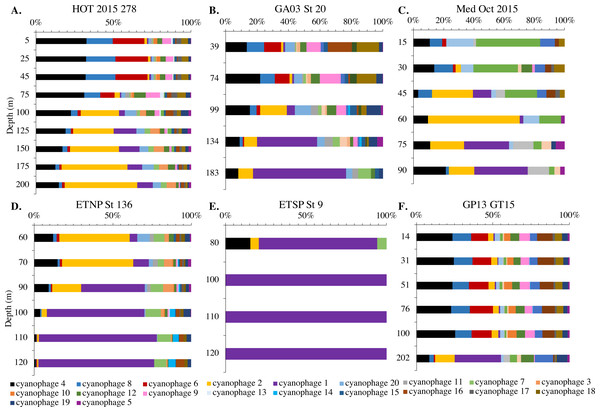 Changes in myo-cyanophage community with depth as determined by cobS phylotype.
