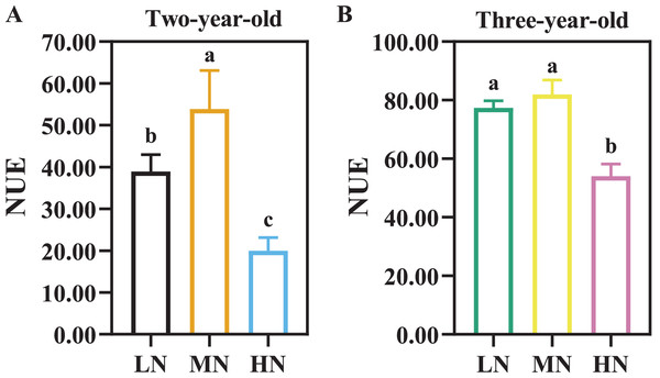 Nitrogen use efficiency (NUE) in two- (A) and three-year-old (B) Panax notoginseng grown under different nitrogen fertilization.
