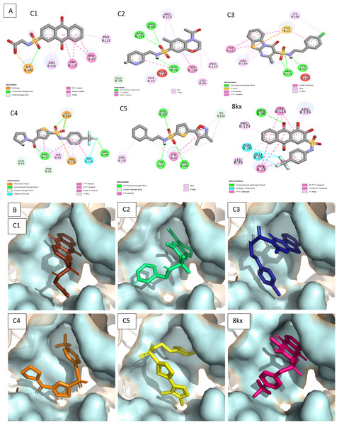 Docked poses of hit compounds.