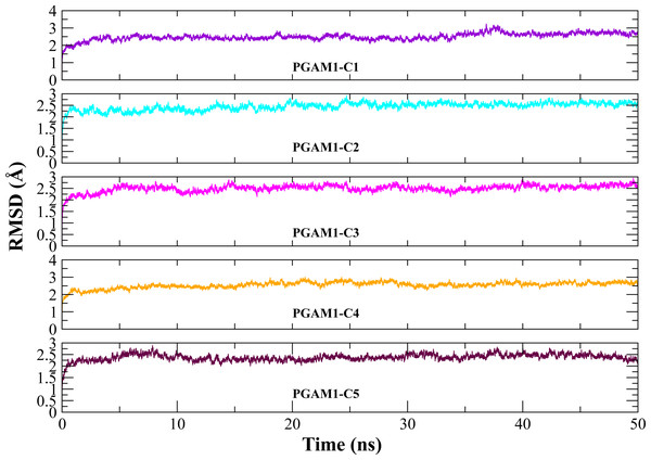 The RMSD(Å) vs. time(ns) plots.