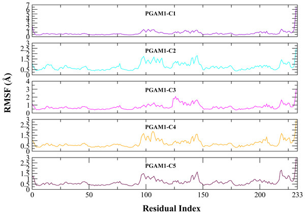 The RMSF (Å) plots of complexes.