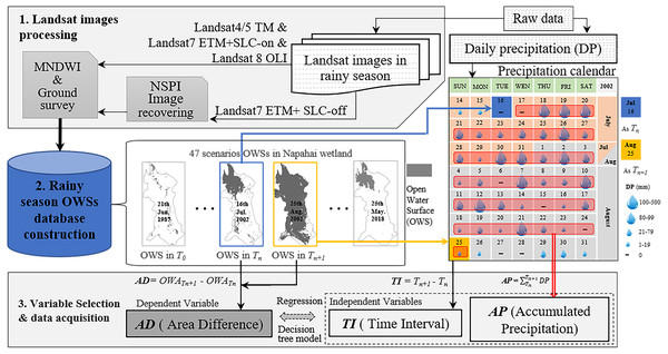 The flowchart of how the variables acquired from the Landsat images and daily precipitation data.