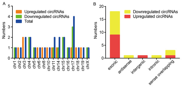 Characteristics of altered circRNAs.