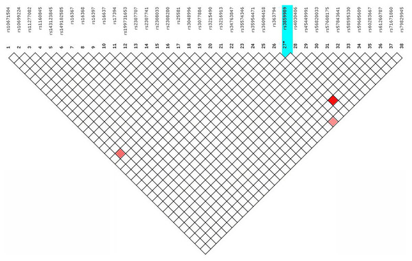 Linkage disequilibrium among the 38 X-InDel loci in the Guizhou Han population.
