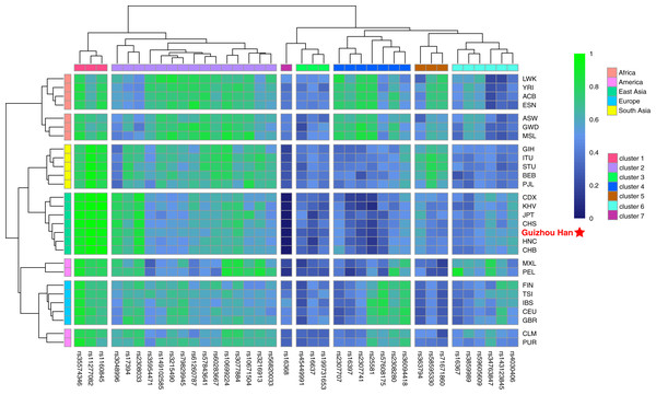 Heatmap on the basis of the insertion allele frequency distributions for the Guizhou Han population and other 27 reference populations worldwide.