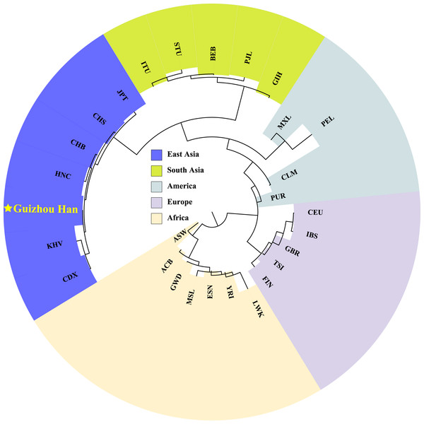 Neighbor-joining phylogenetic tree constructed on the basis of the Fst genetic matrix among the 28 populations.