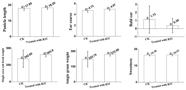 Overview of analysis of Bacillus subtilis R31 improves the quality of sweet corn.