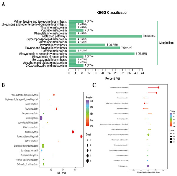 Enriched KEGG pathways of DAMs identified among sweet corn after application of B. subtilis R31.