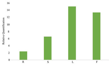 Transcriptome analysis and exploration of genes involved in the ...