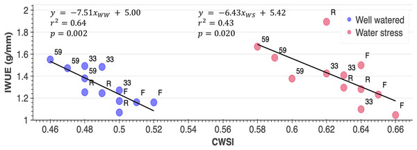 Responses of genotypes (Rubygem, R; Festival, F; 59, 33) to the CWSI (crop water stress index) × IWUE (irrigation water use efficiency) (g mm−1) relationship under different irrigation levels.
