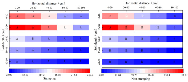 Spatial distribution of the number of fine roots.