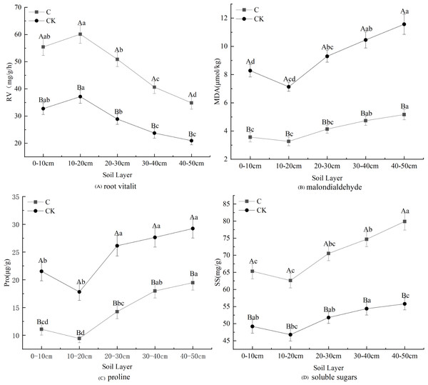 Fine root physiological properties of H. rhamnoides under different treatments.