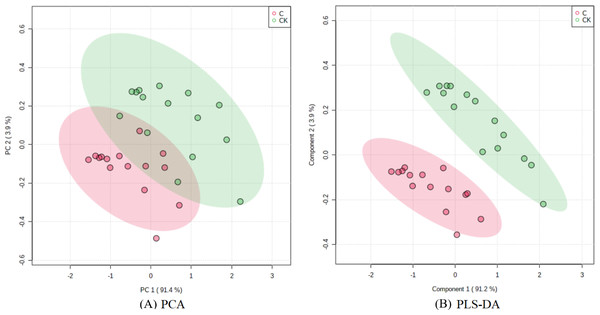 Score maps of PCA and PLS-DA.