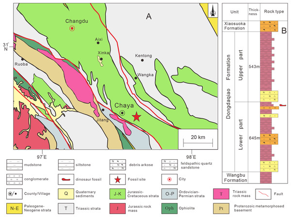 Provenance of sauropod remains described in this study.