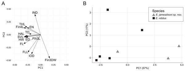 Rotation matrix (A) and biplot of the fitted model (B) from principal components analysis of the E. nitidus dataset (Data S3).