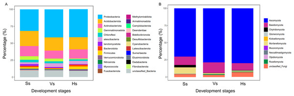 Relative species abundance of bacterial and fungal communities at phylum level.