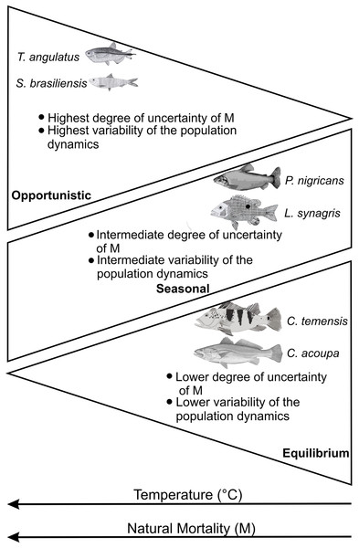 Expected behavior according to the characteristics of the life history of fish according to a gradient of temperature (°C) and natural mortality (M) (adapted from Jeppesen et al., 2014).
