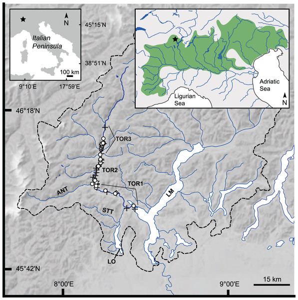 Study area: Toce River lower, middle, and upper basin.