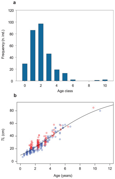 Age-class frequency distribution, length-age relationship and growth trajectory shown for the population of S. marmoratus of the Toce River (n = 295).