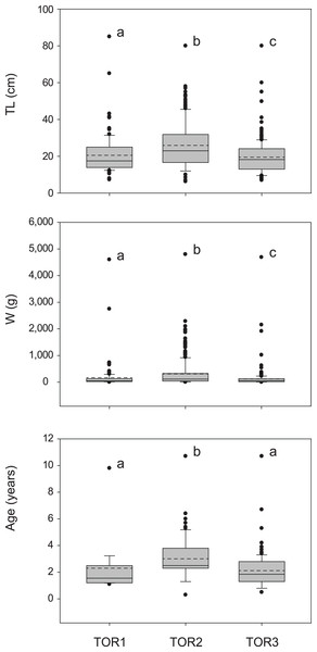 Distribution of size (total length TL, wet mass W, n = 579; Table 1) and age (TL-Age, n = 295, Table 1) of S. marmoratus in the three sampled tracts of the Toce River (lower TOR1, middle TOR2, and upper TOR3).