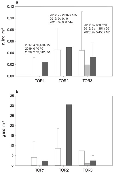 Density distribution of S. marmoratus in 2017 (white bars), 2019 (light gray bars), and 2020 (dark gray bars).