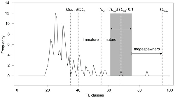 Length-frequency distribution of angling catches of S. marmoratus in the Toce River and Lake Maggiore (sample B, n = 113).