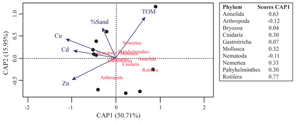 Canonical analysis of principal coordinates (CAP) ordination of samples according to multivariate distribution of the meiofaunal metazoans identified in the Rio Doce estuary in 2018.