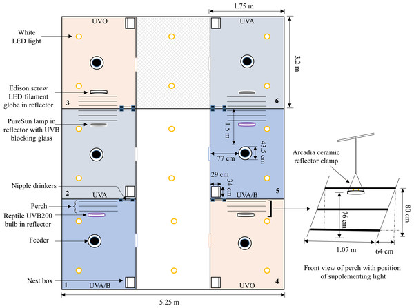 A schematic of one of the three experimental rooms.