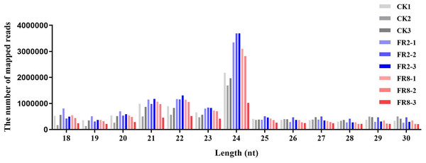 Length distribution of sRNA sequences in the sRNA libraries.